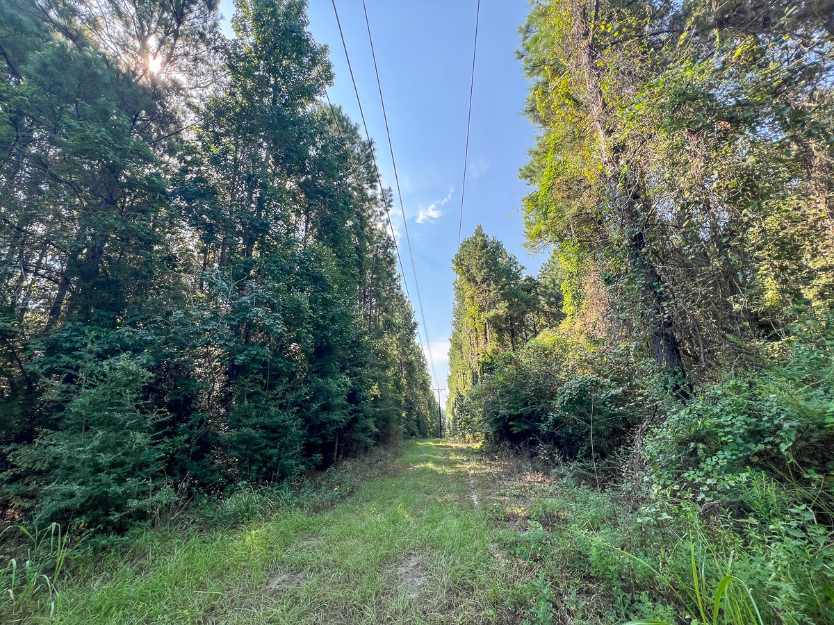 T-4 Cr 2150 Property Photo 14