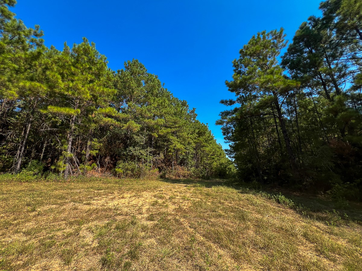 T-4 Cr 2150 Property Photo 18