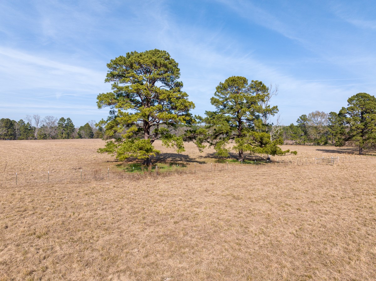 1 Fm 328 Property Photo 5