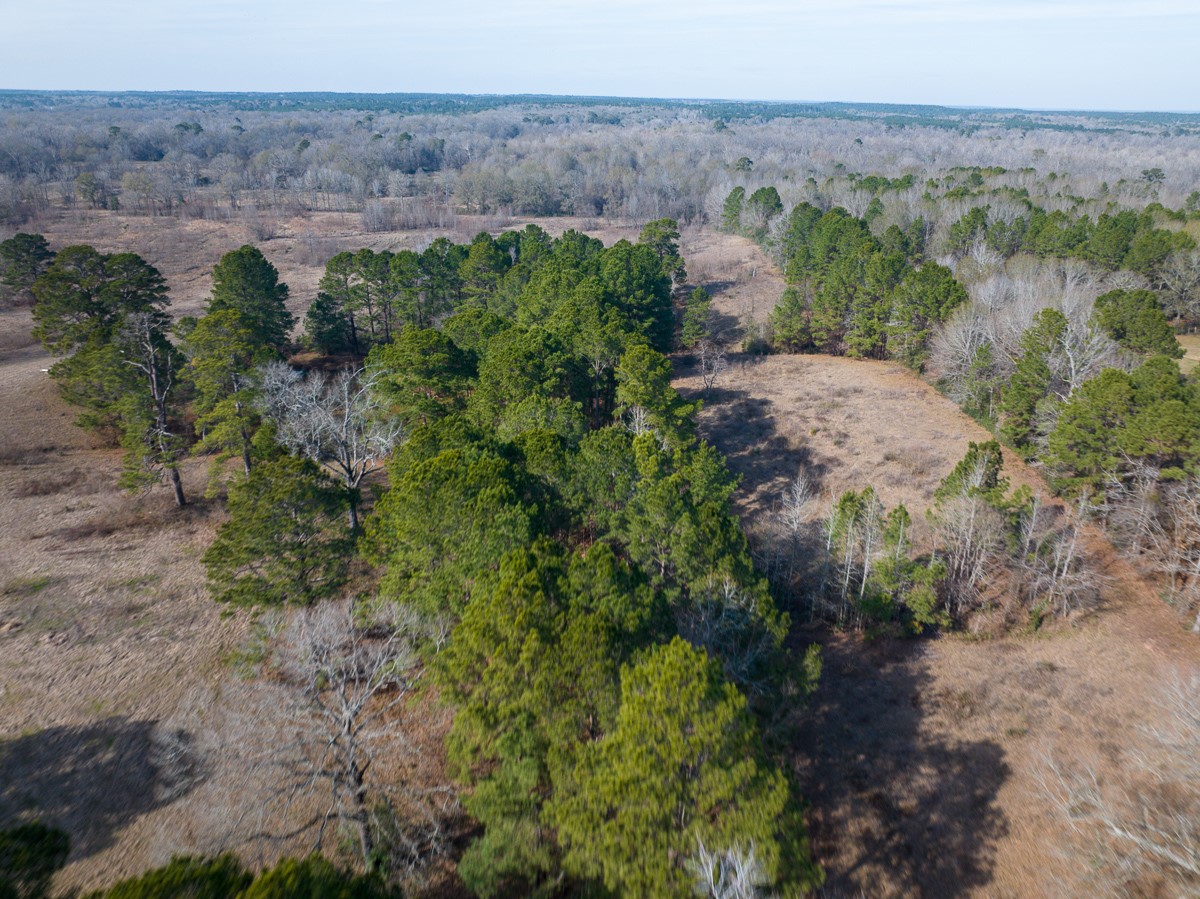 1 Fm 328 Property Photo 8