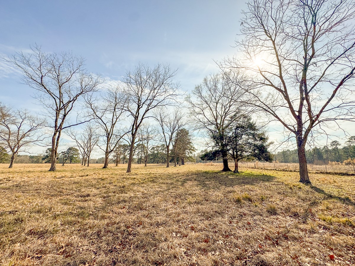 1 Fm 328 Property Photo 35