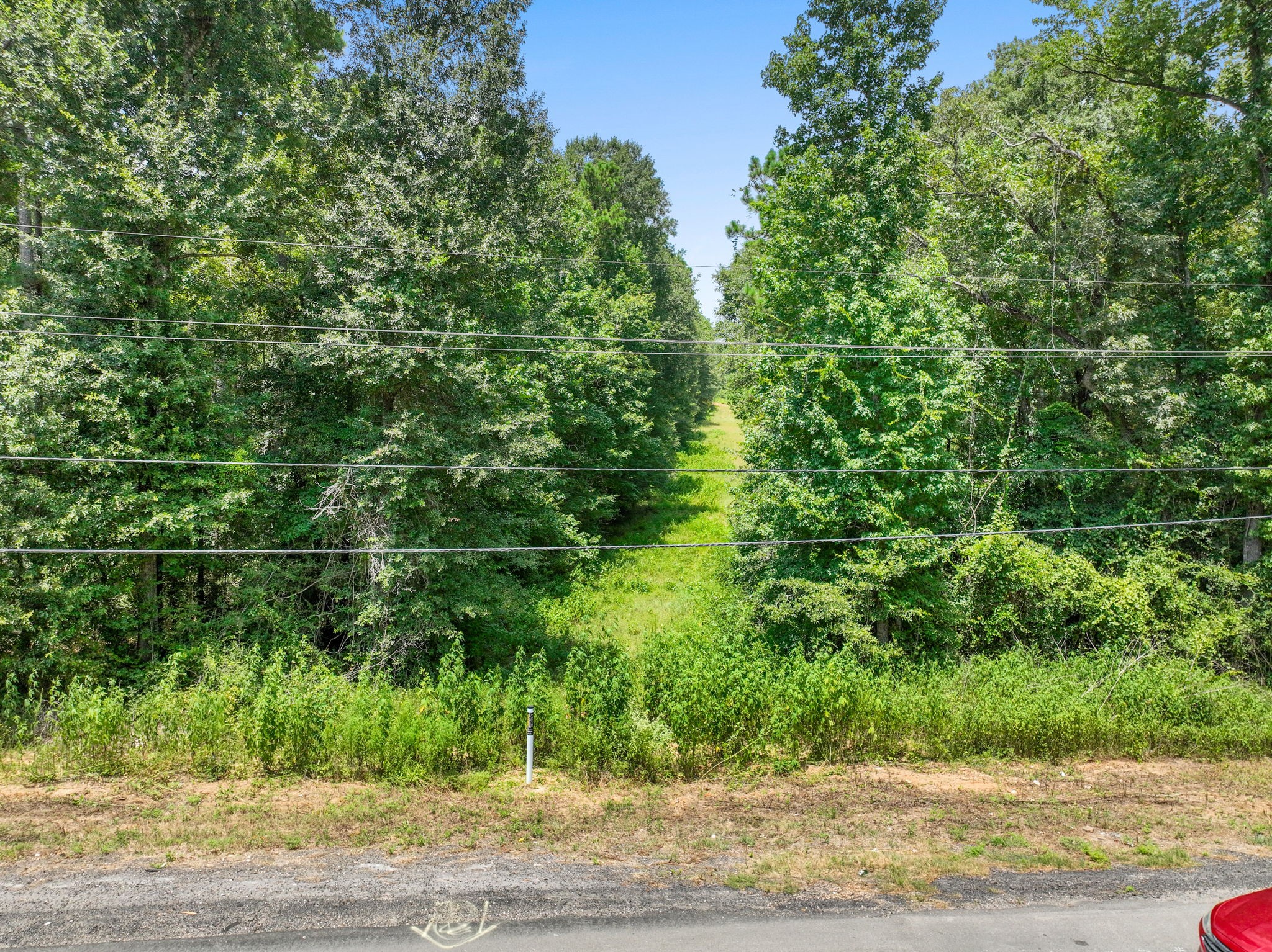 Tbd Fm 1484 Property Photo 5