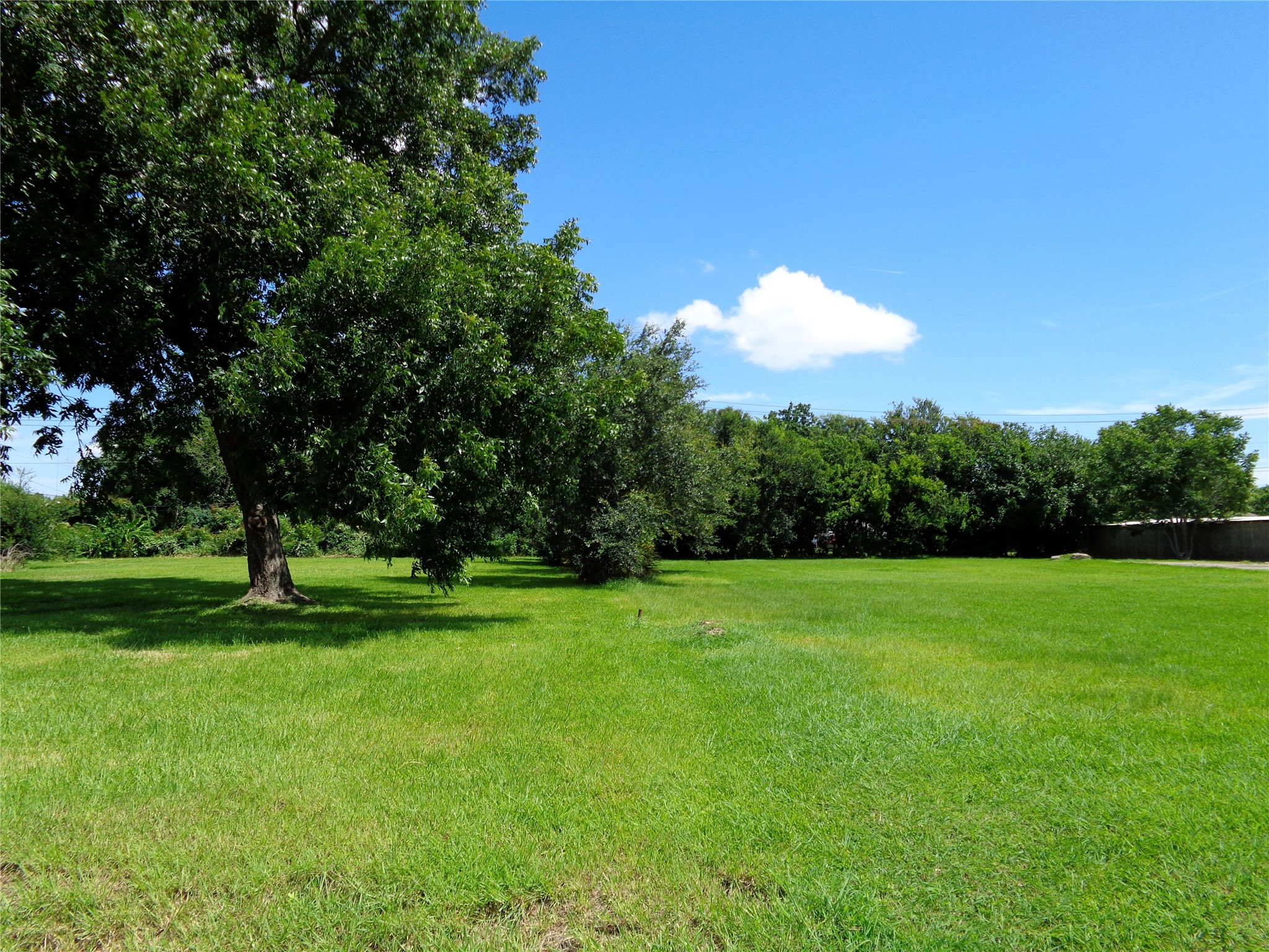2418 25th Avenue N Property Photo 6