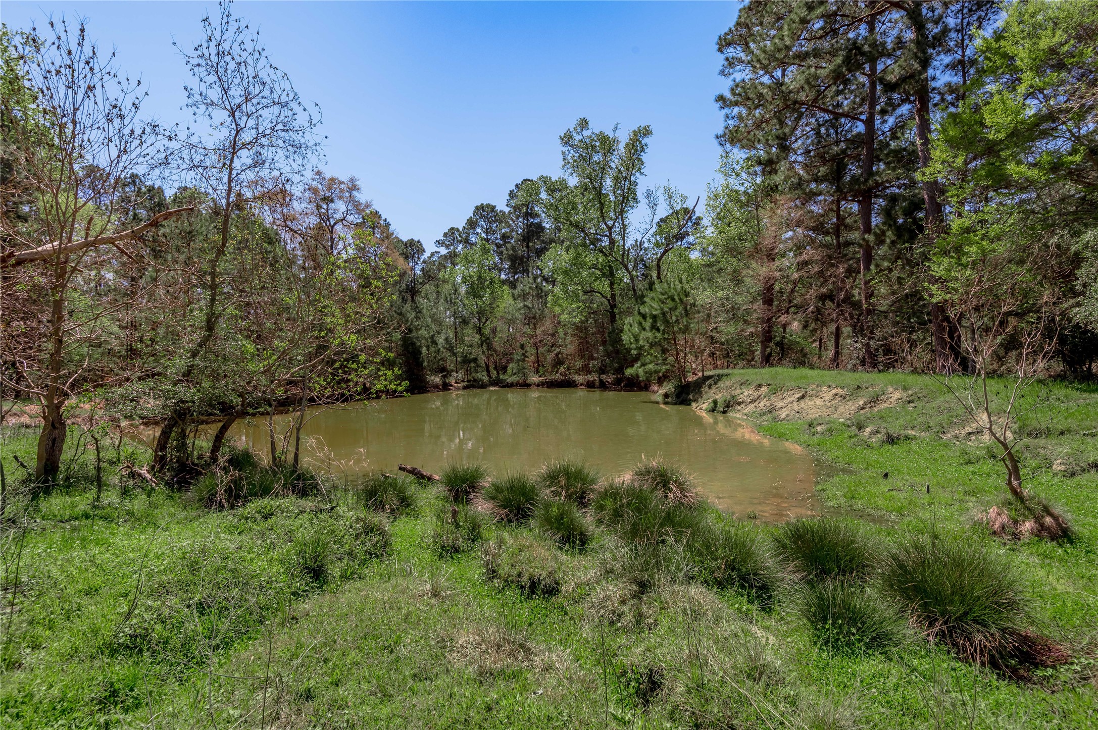 2792 Hwy 287 E Property Photo 20