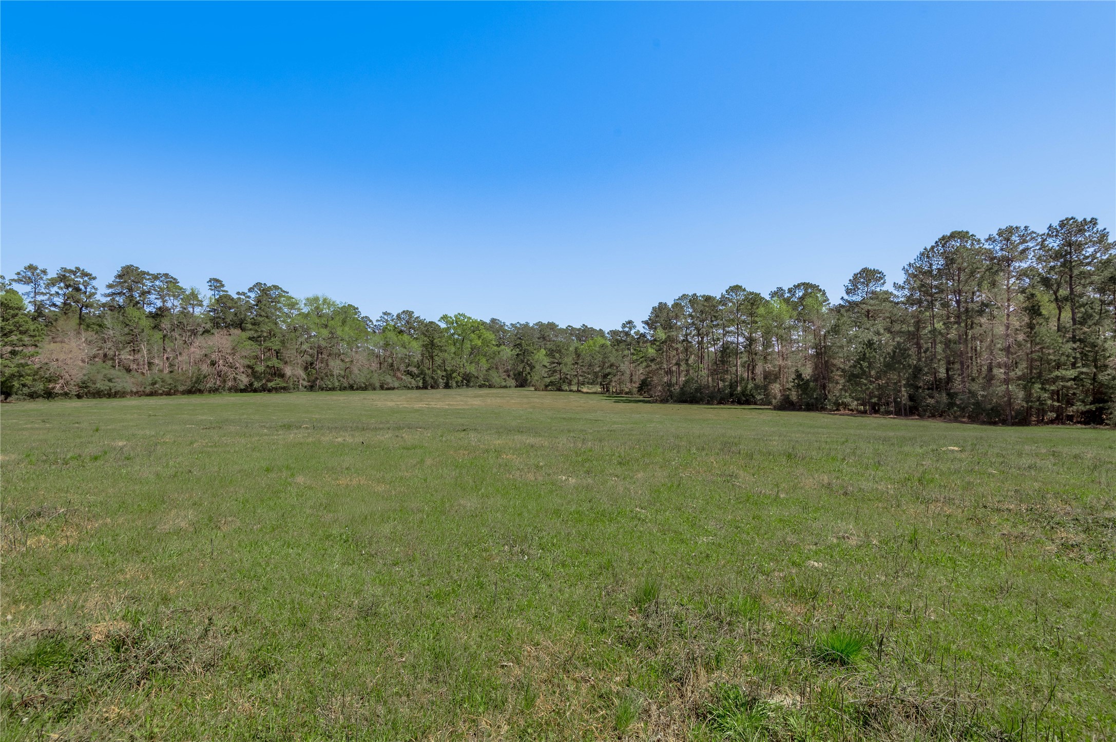 2792 Hwy 287 E Property Photo 21