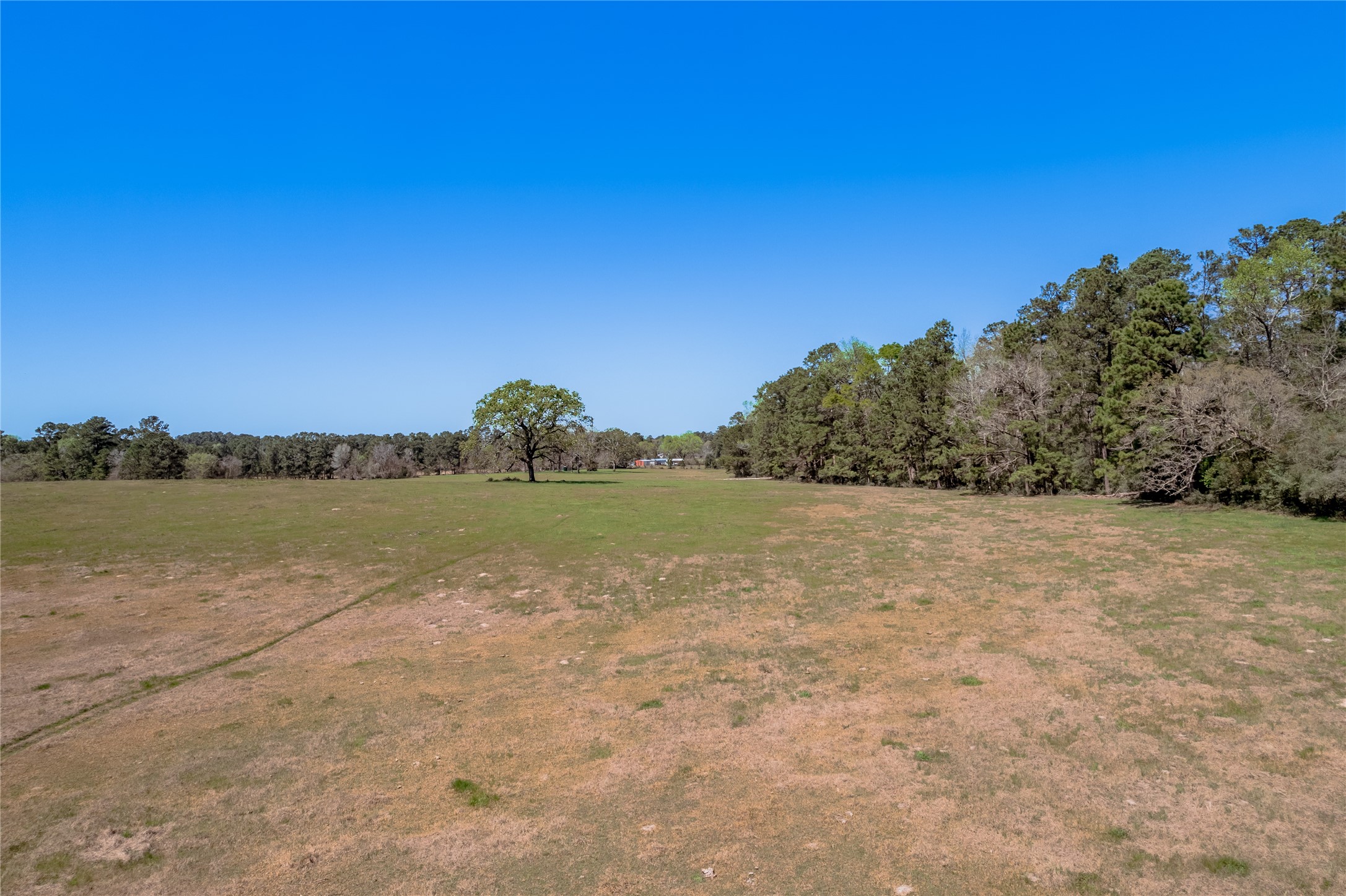 2792 Hwy 287 E Property Photo 23