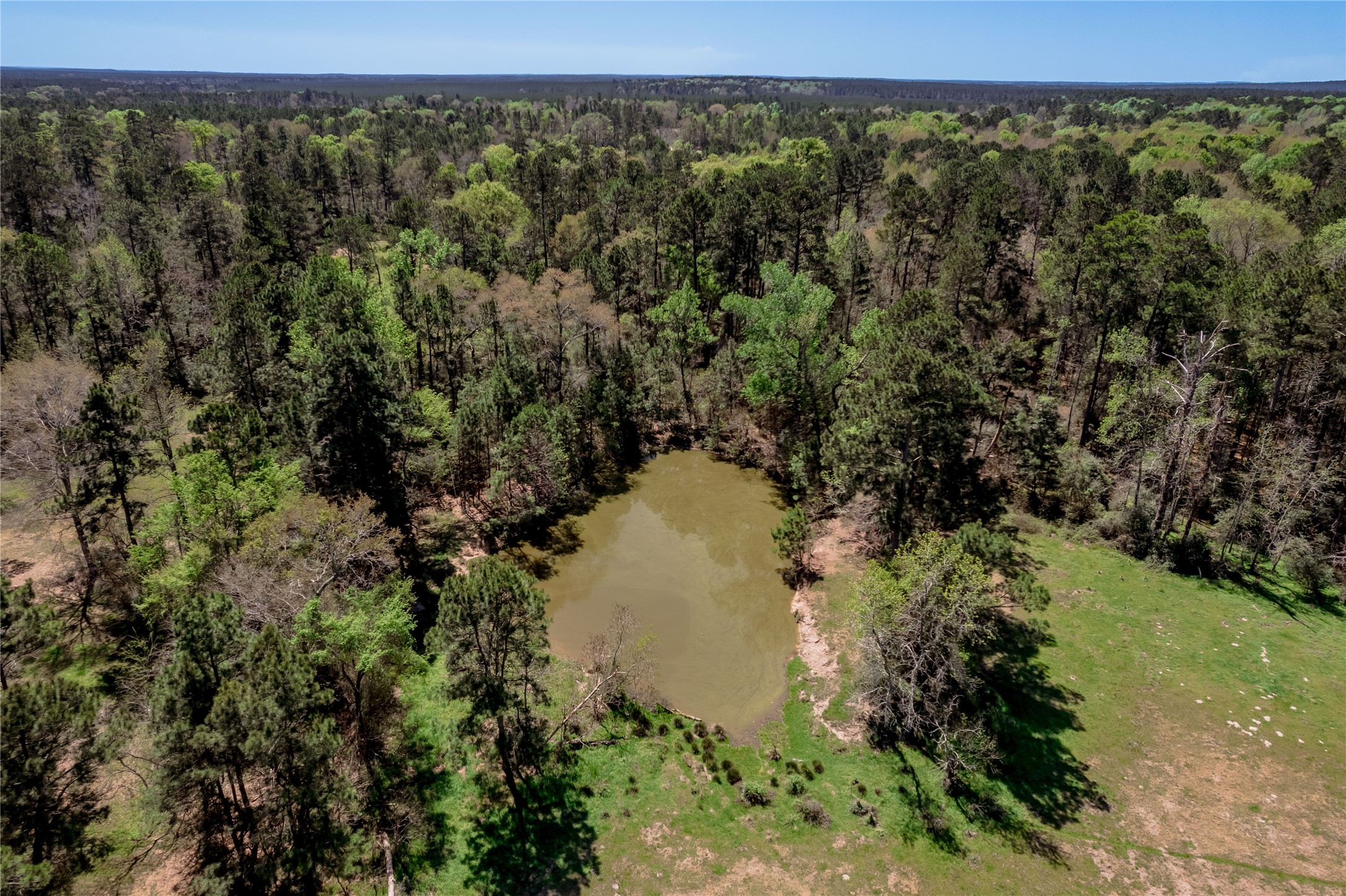 2792 Hwy 287 E Property Photo 24
