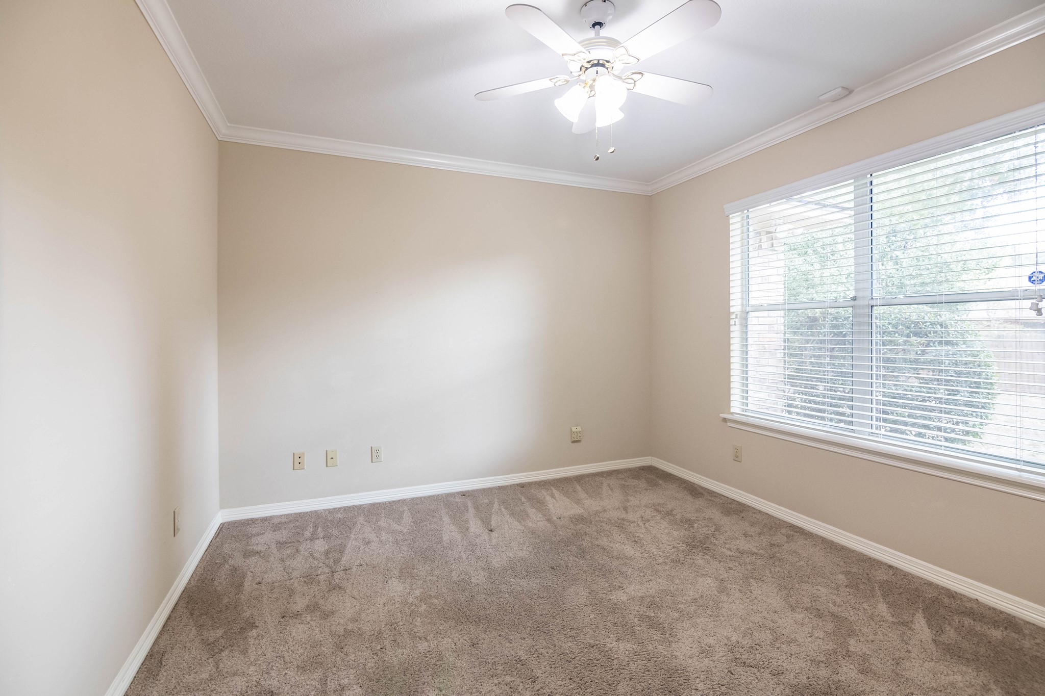 104 Peach Tree Street Property Photo 28