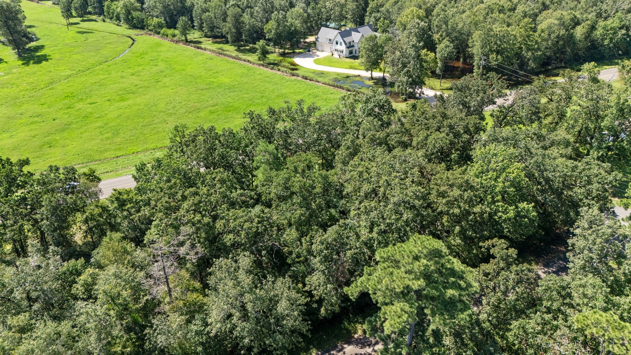 Tbd Woodland Drive Property Photo 3