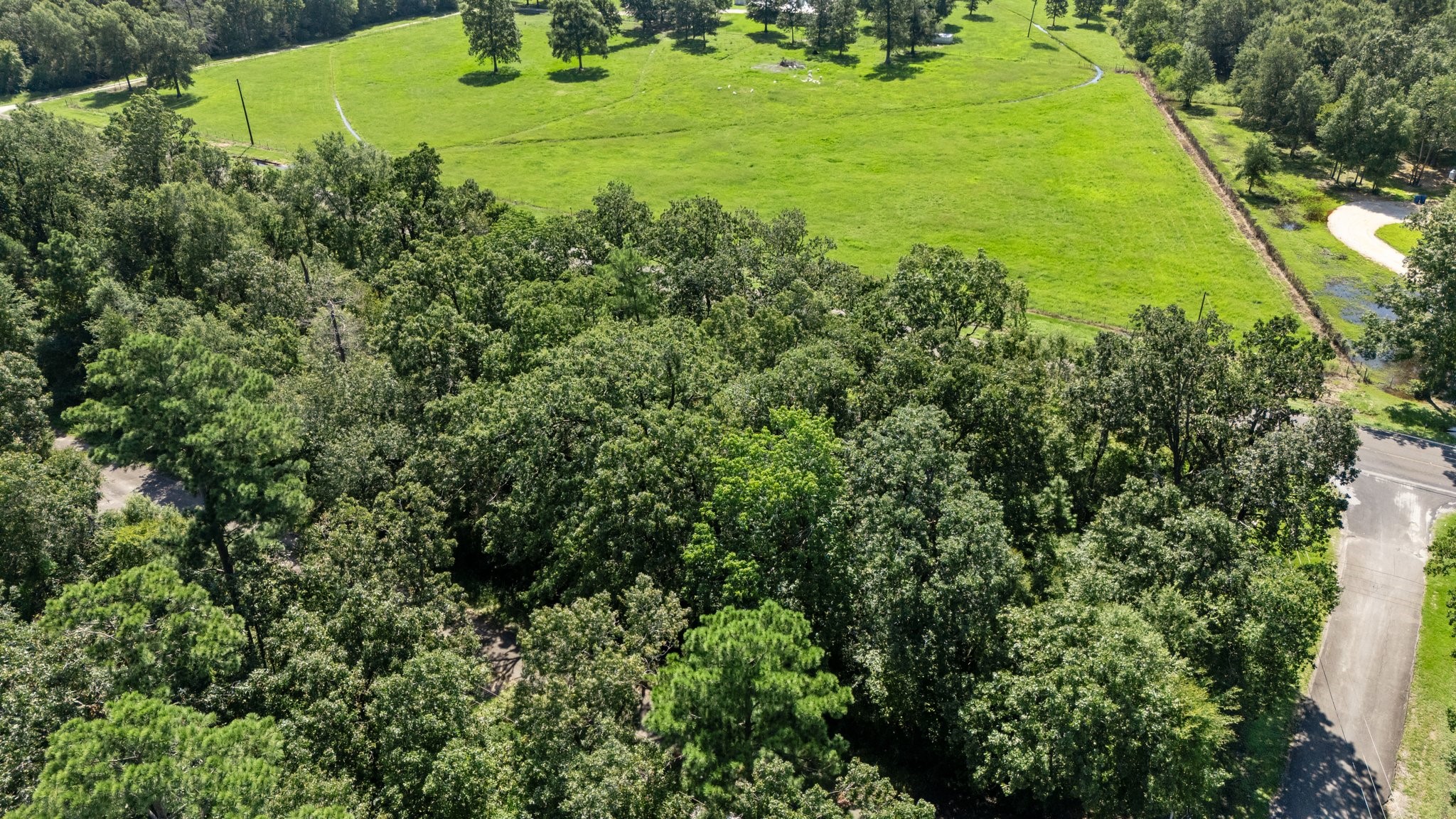 Tbd Woodland Drive Property Photo 9