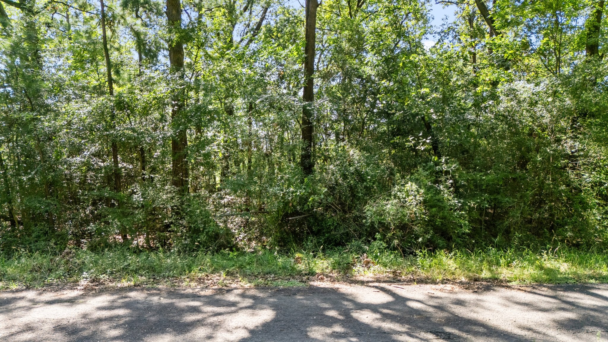 Tbd Woodland Drive Property Photo 11