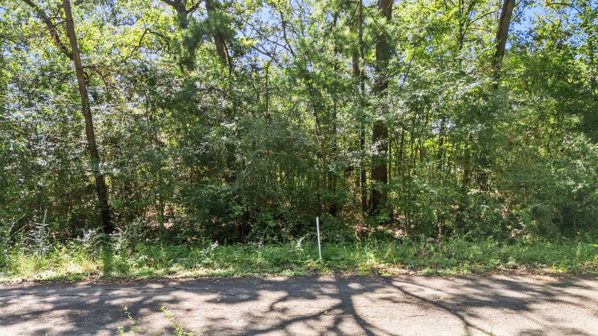 Tbd Woodland Drive Property Photo 12