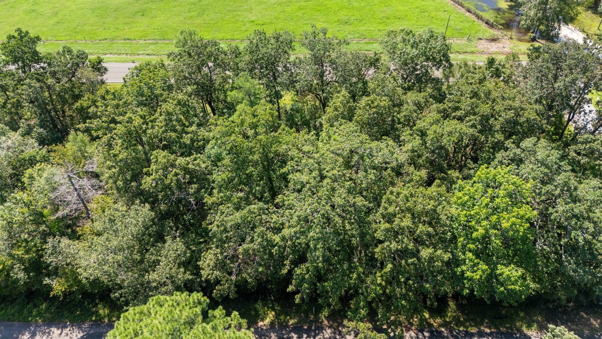 Tbd Woodland Drive Property Photo 13