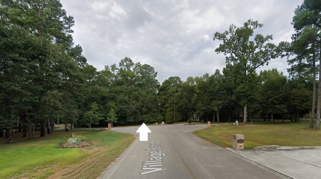 28812 Village Bend Property Photo 1