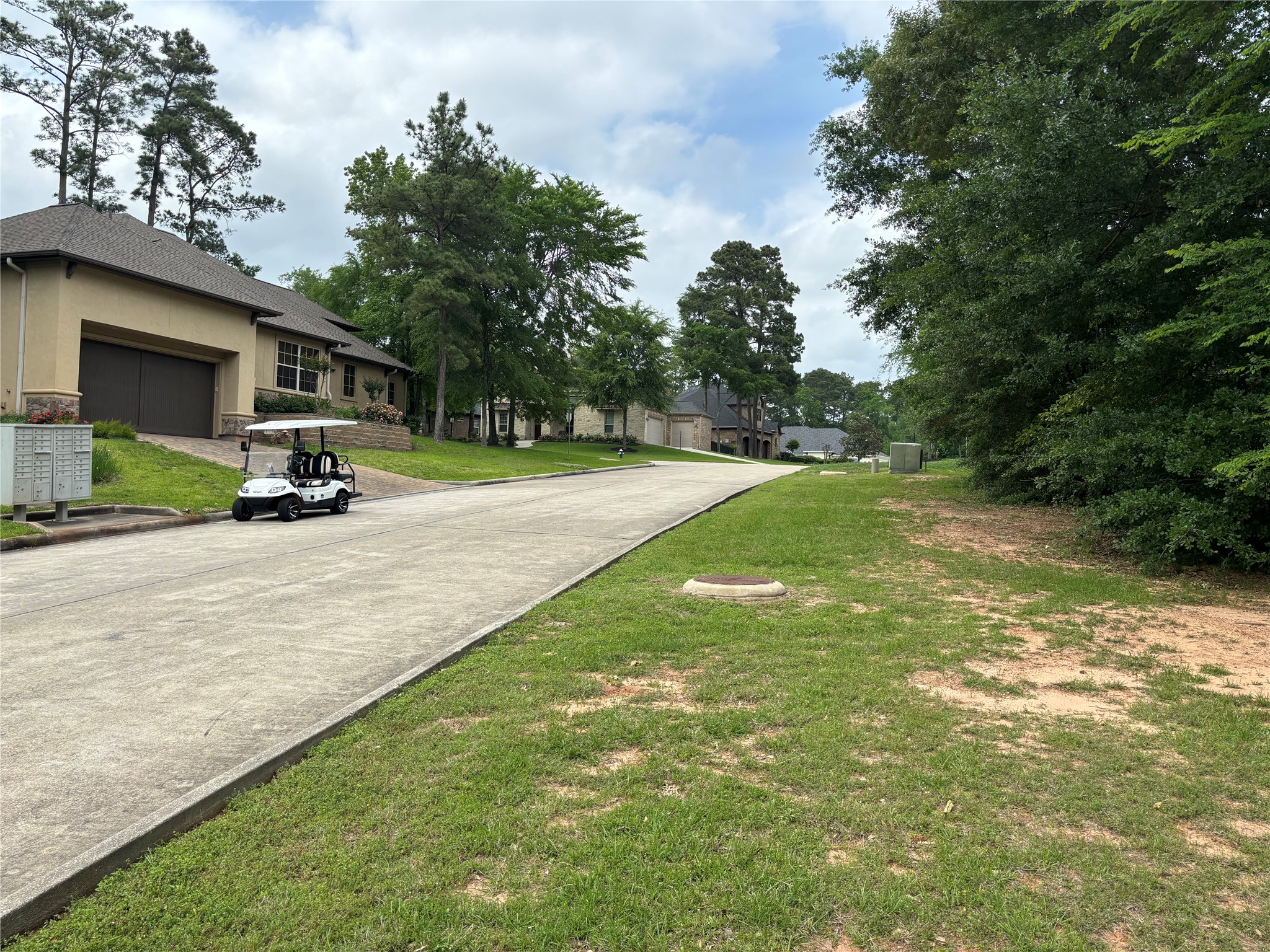 313 Pine Brook Drive Property Photo 4