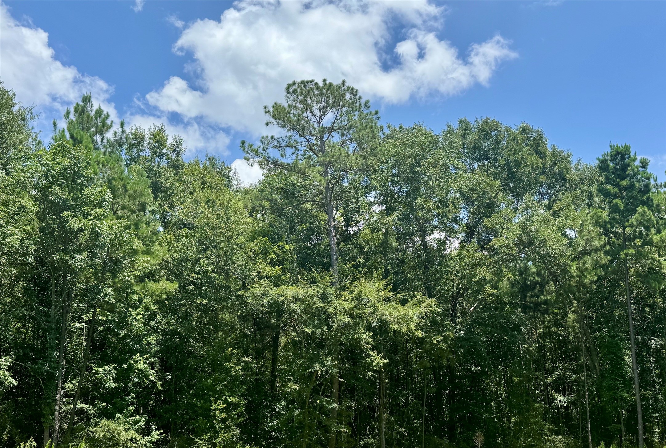 Lot 15 Riverstone Drive Property Photo 1