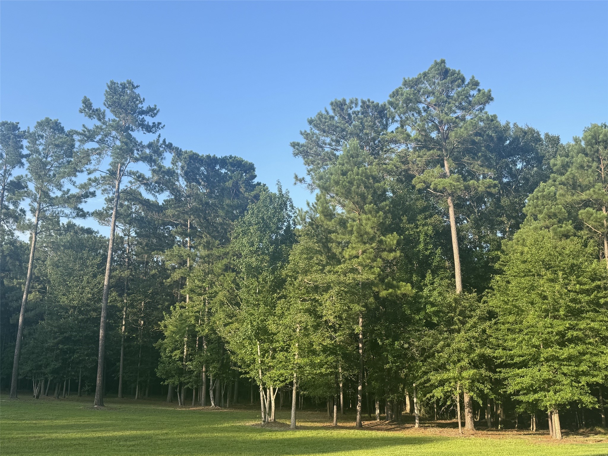 Lot 15 Riverstone Drive Property Photo 7
