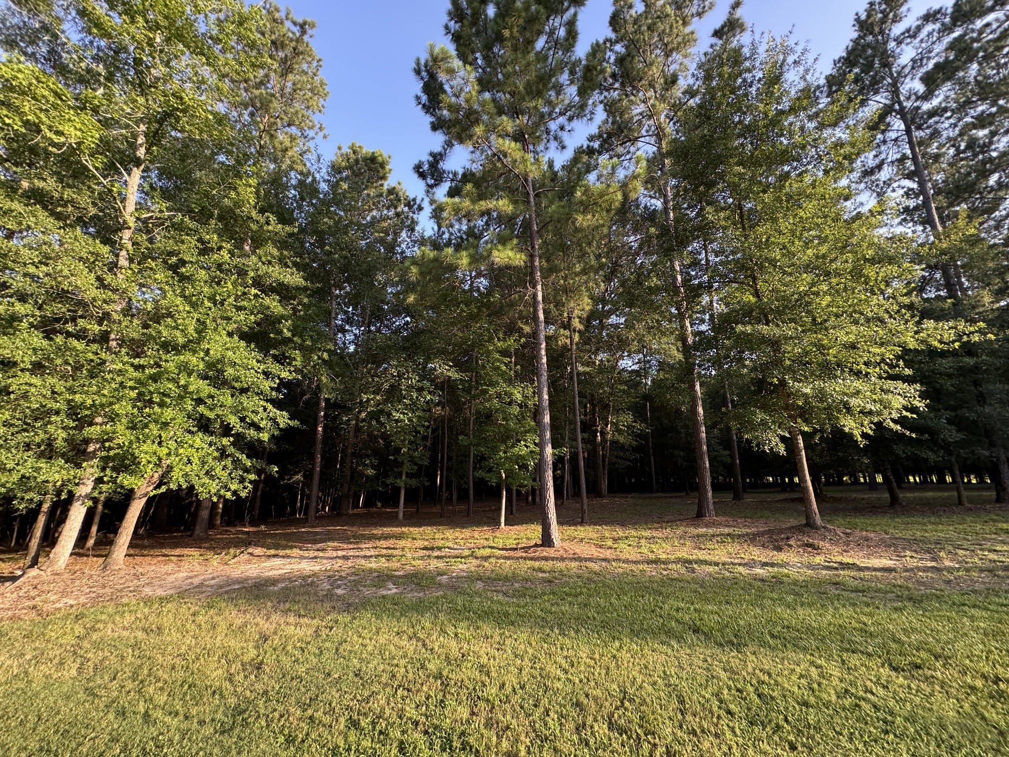 Lot 15 Riverstone Drive Property Photo 8