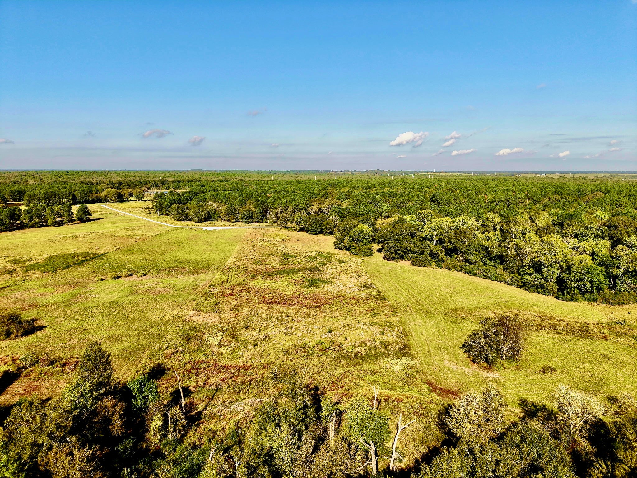 300 Buckhorn Creek Trail Property Photo 1