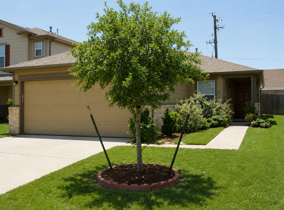 8515 Westknoll Lane Property Photo