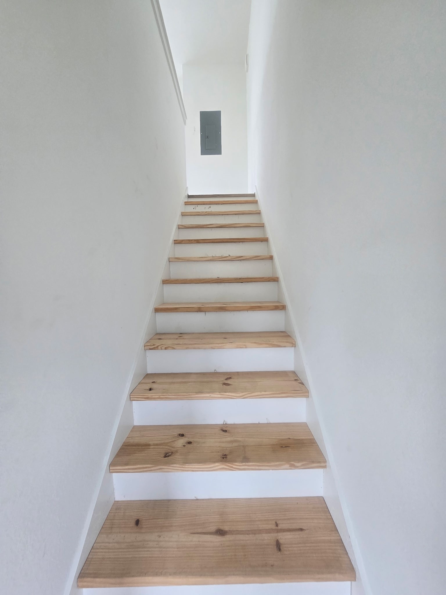 1206 Schweikhardt Street A-d Property Photo 15