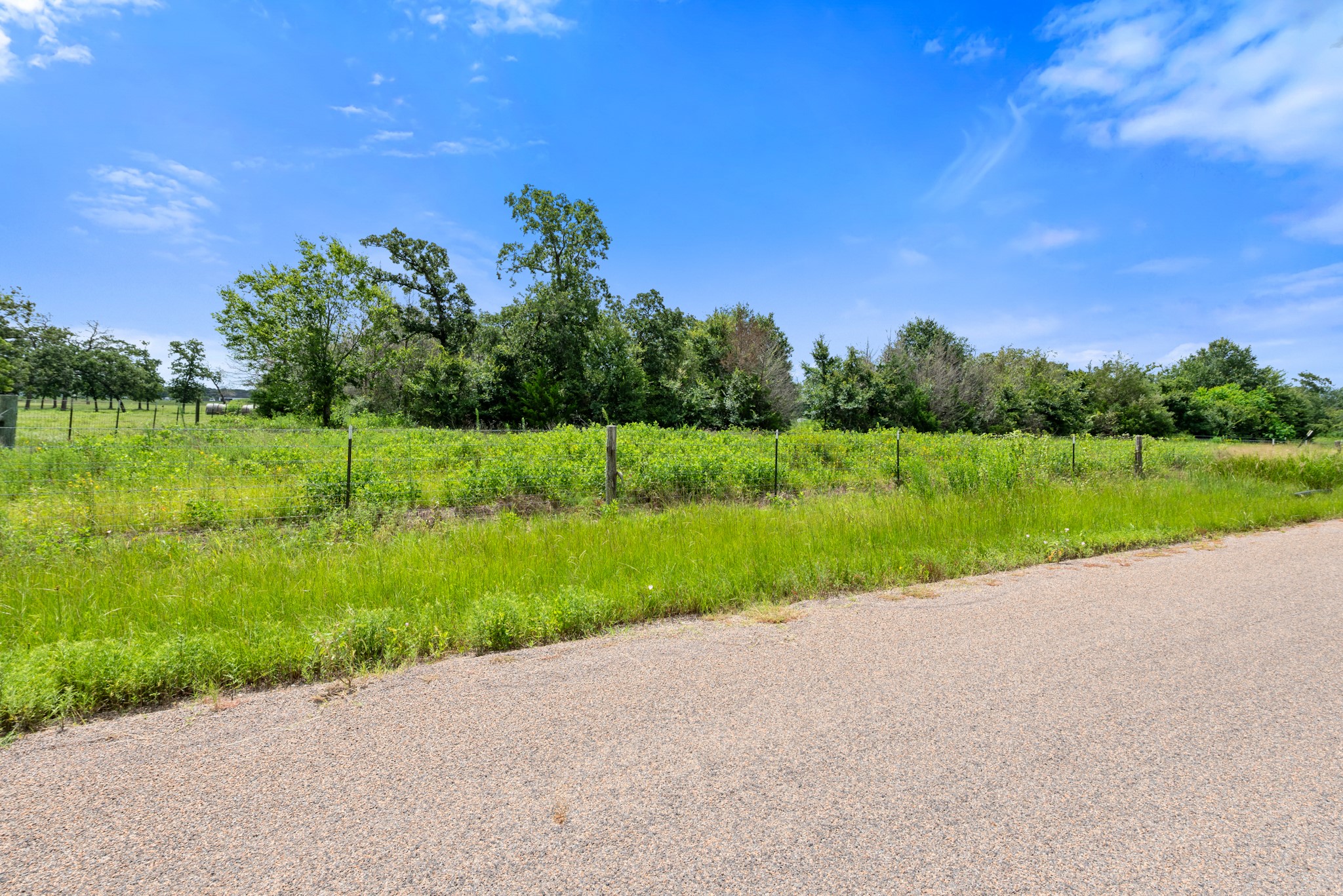 4654 County Road 168, 8 Acres Property Photo 5
