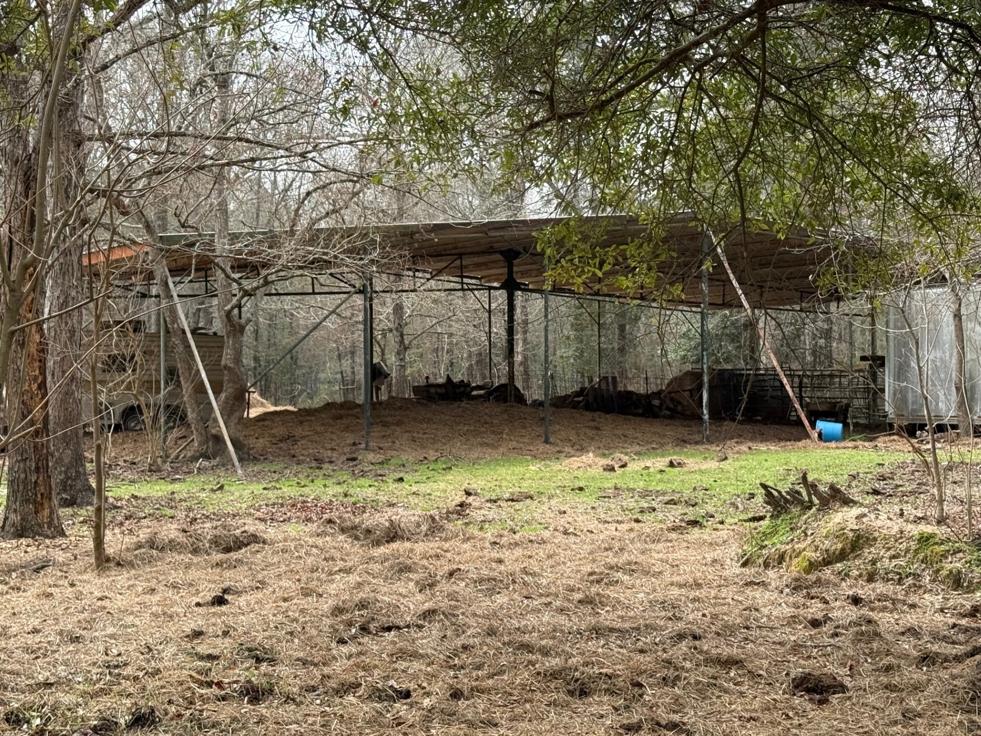 0 Old Hwy 105 E Property Photo 5