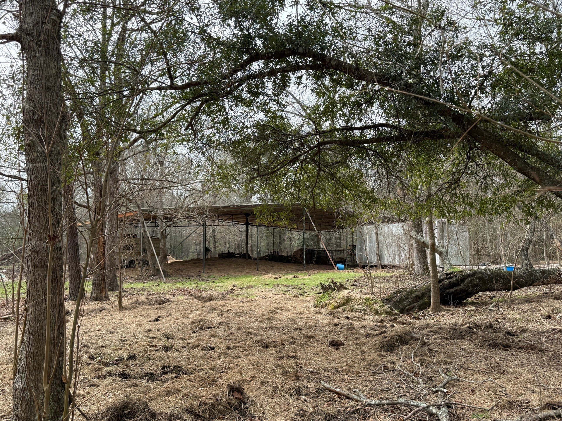 0 Old Hwy 105 E Property Photo 8