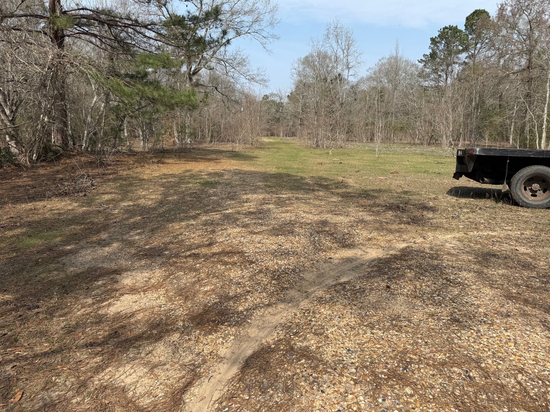 0 Old Hwy 105 E Property Photo 11