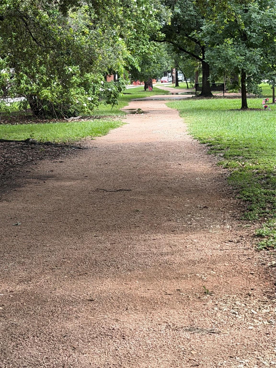 924 Alexander Street, Houston Tx 77008 Property Photo 44