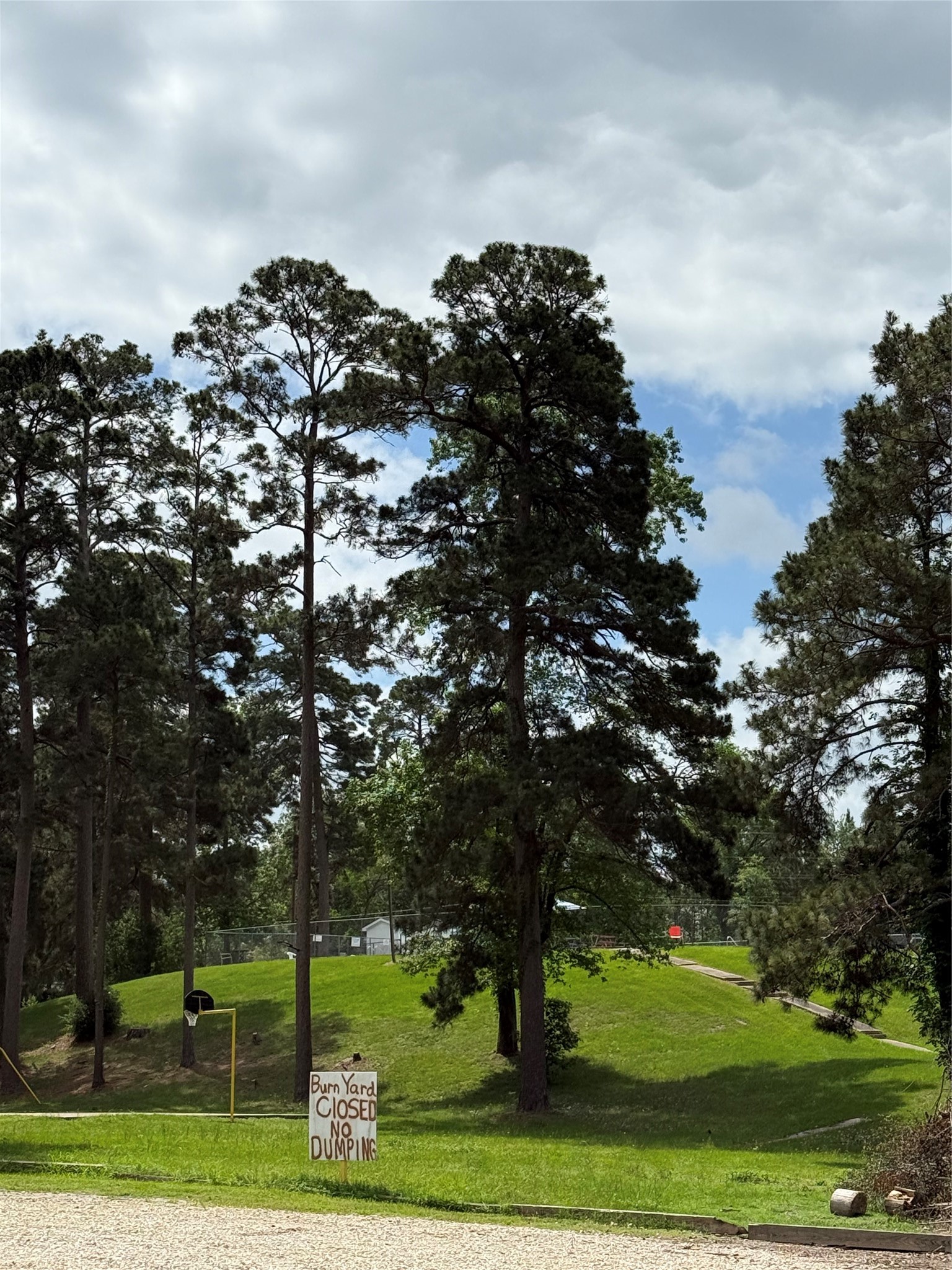 199 Apple Tree Property Photo 5