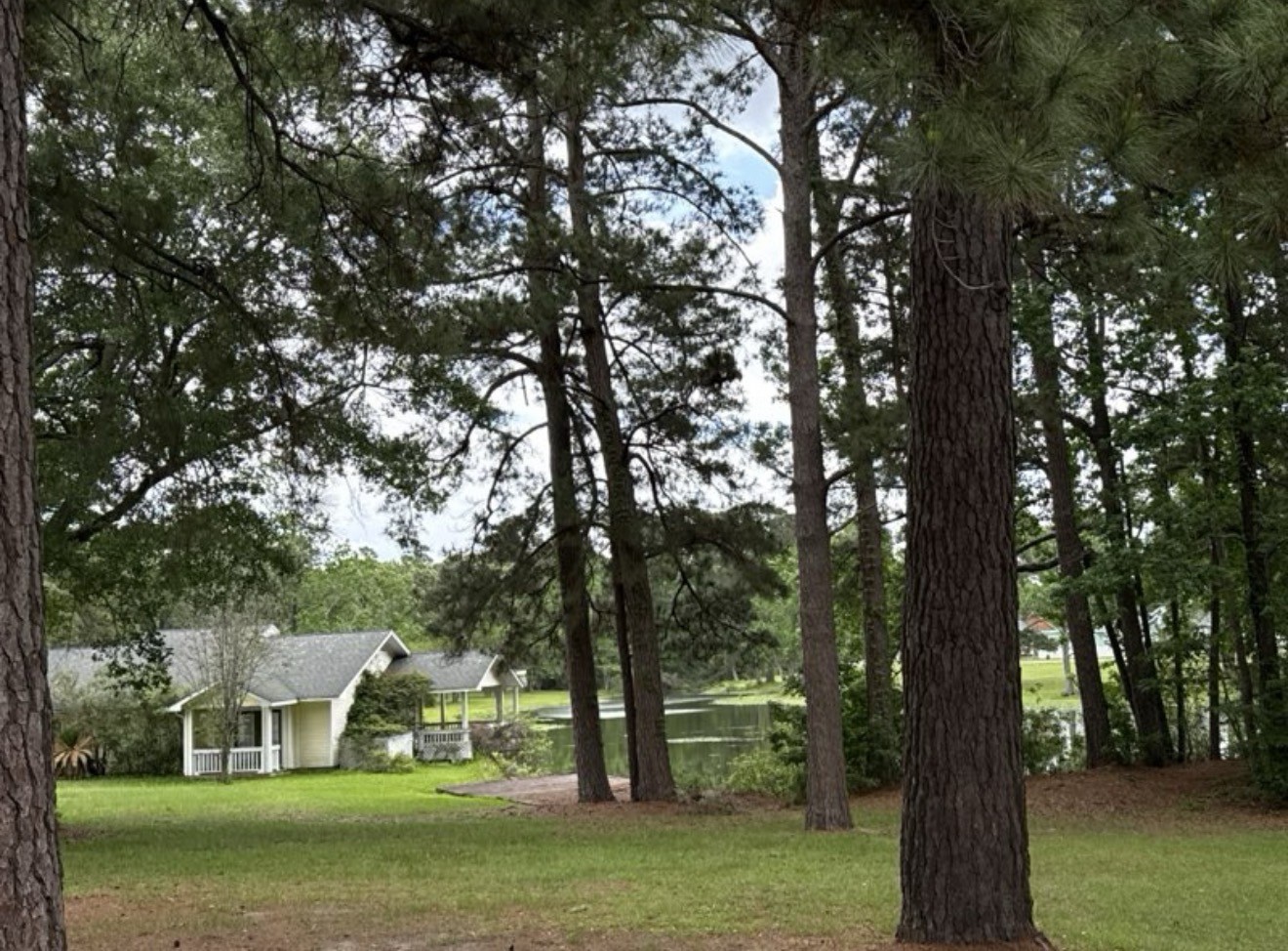 199 Apple Tree Property Photo 13