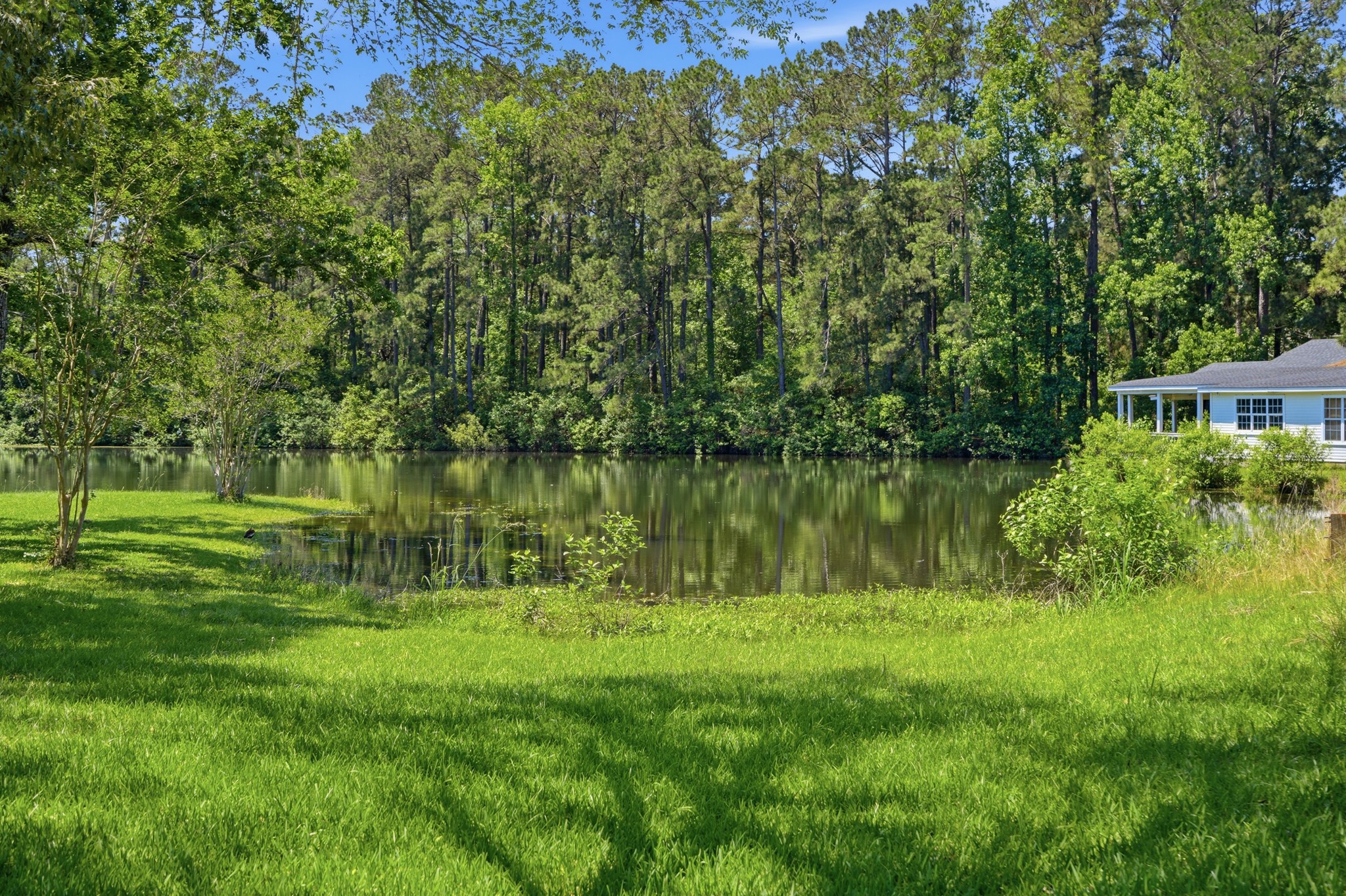 199 Apple Tree Property Photo 39
