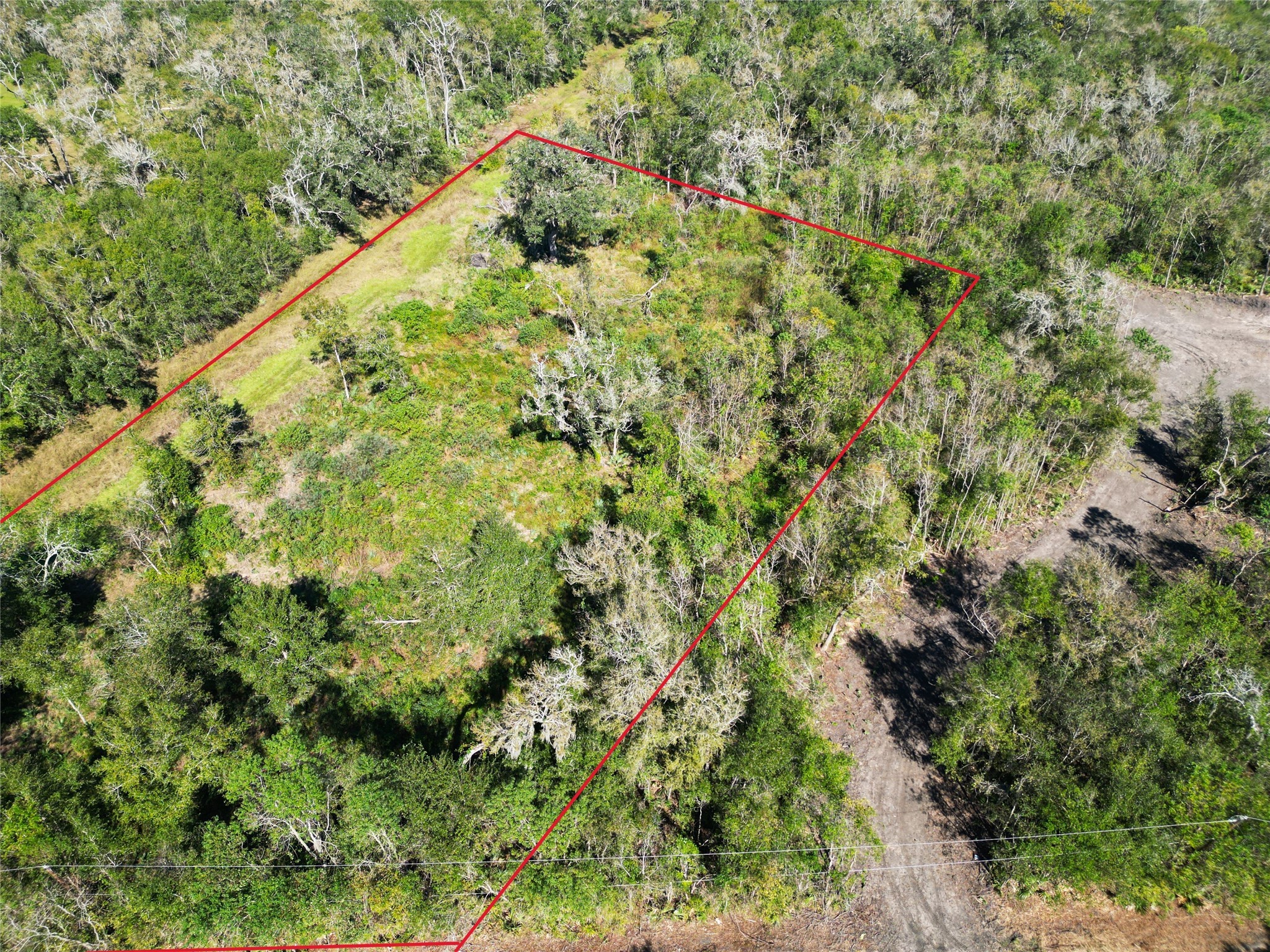 0 County Road 409 Property Photo 2