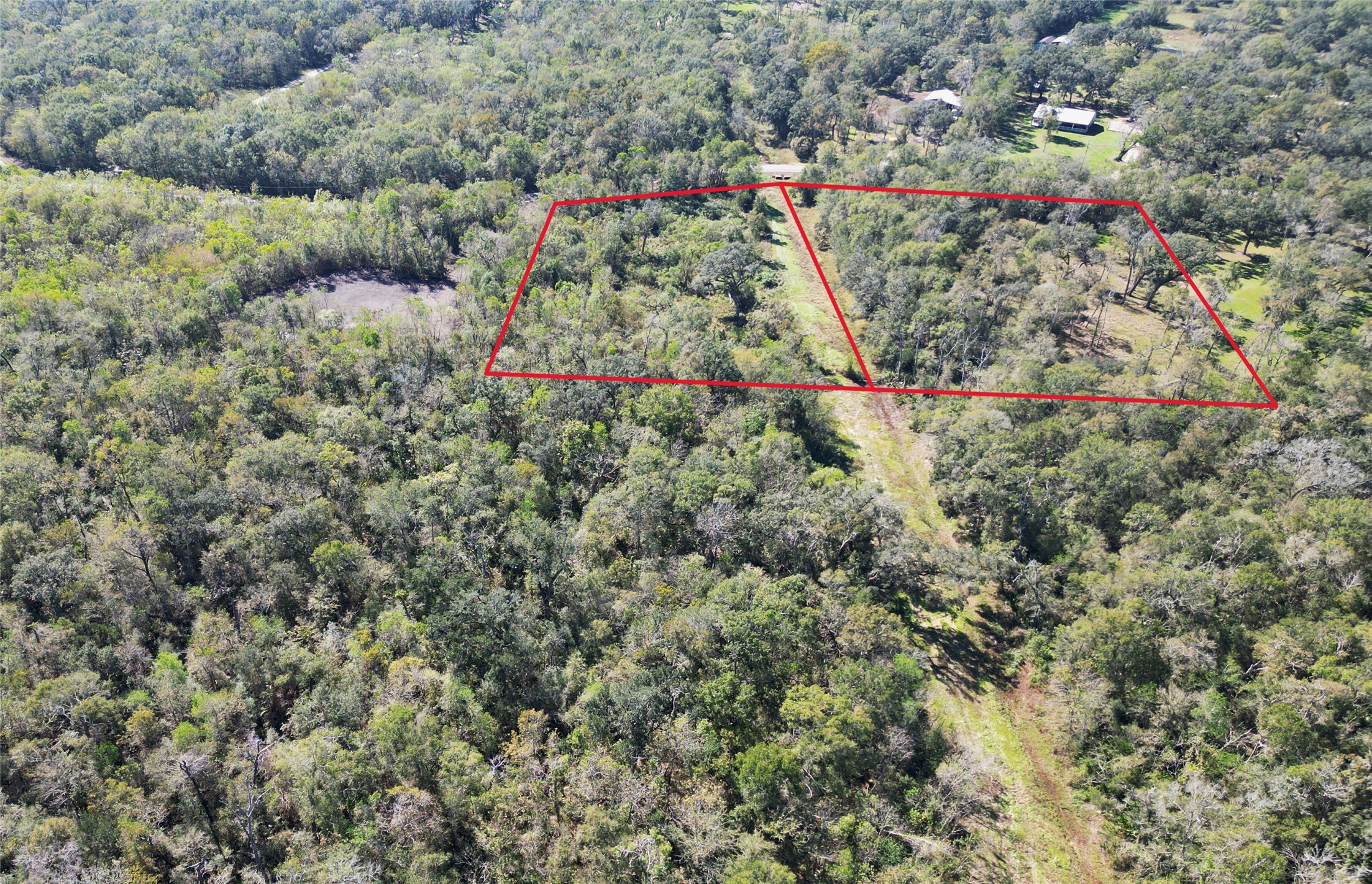 0 County Road 409 Property Photo 6