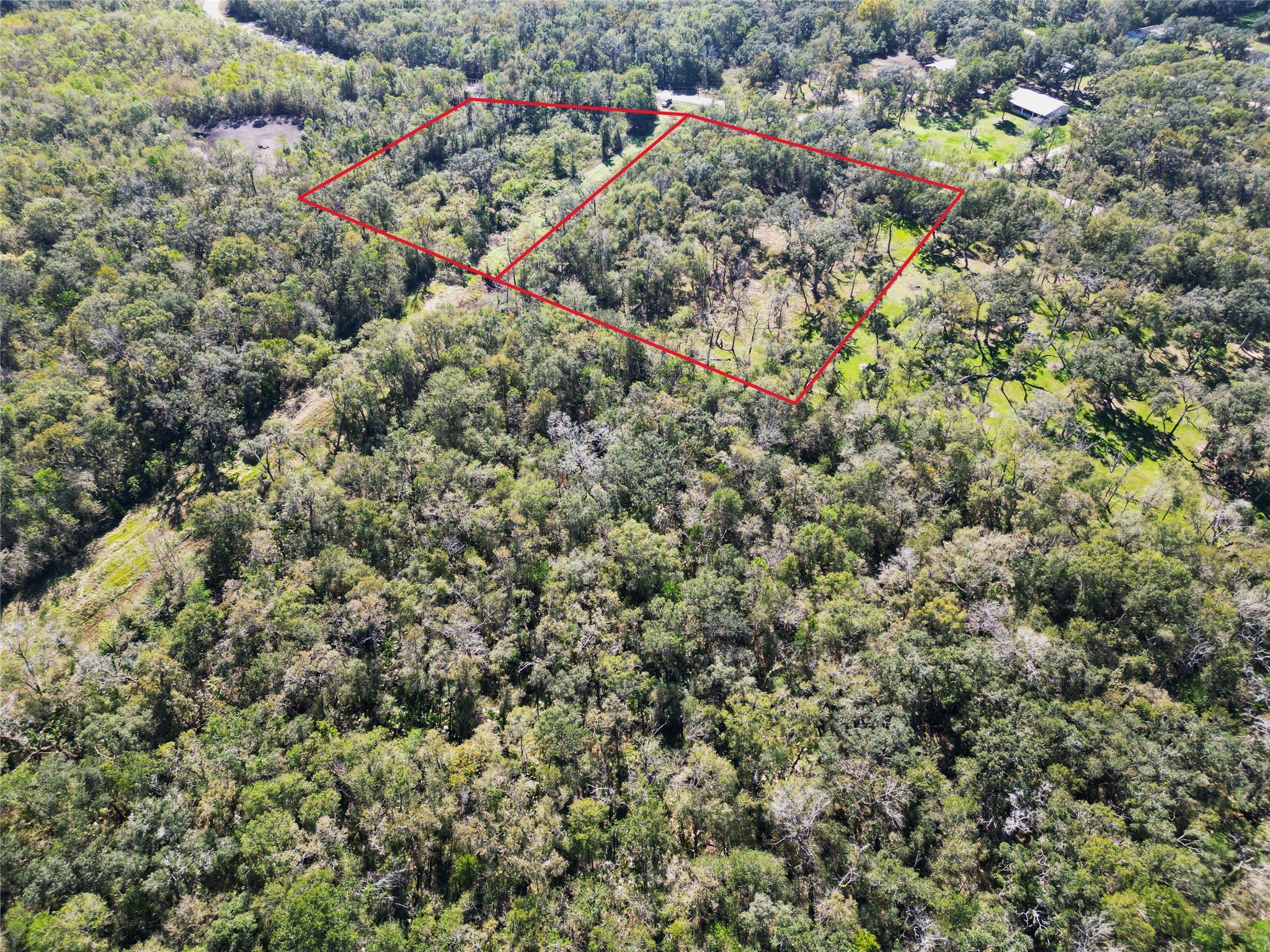 0 County Road 409 Property Photo 7
