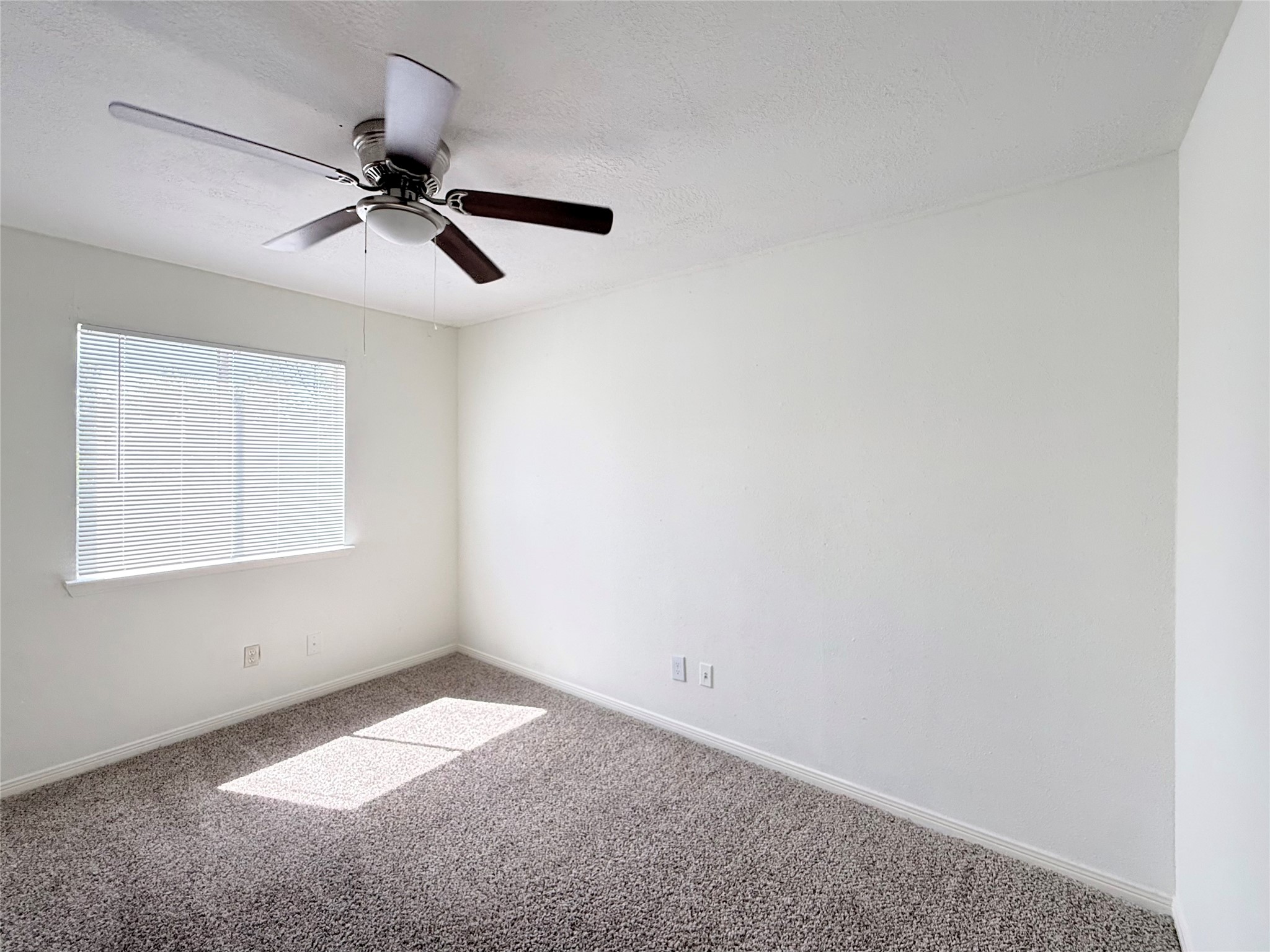 10106 Pear Limb Drive Property Photo 21