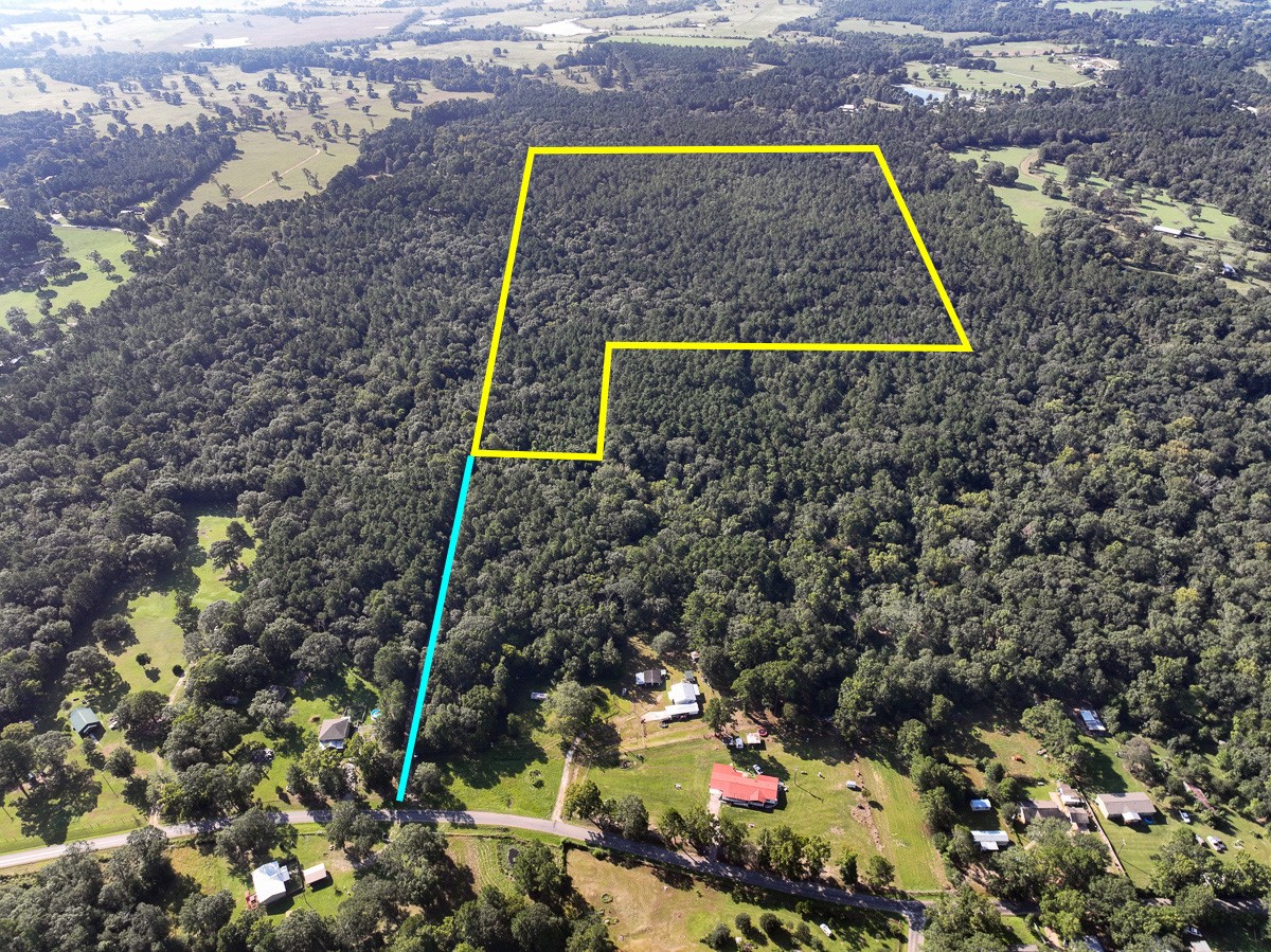 0 Off Hardy Bottom Rd Property Photo