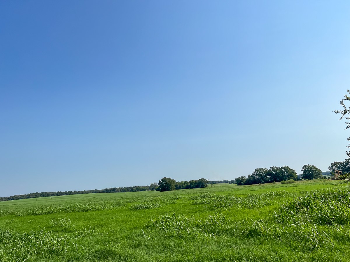 Tbd County Road 328 Property Photo 1