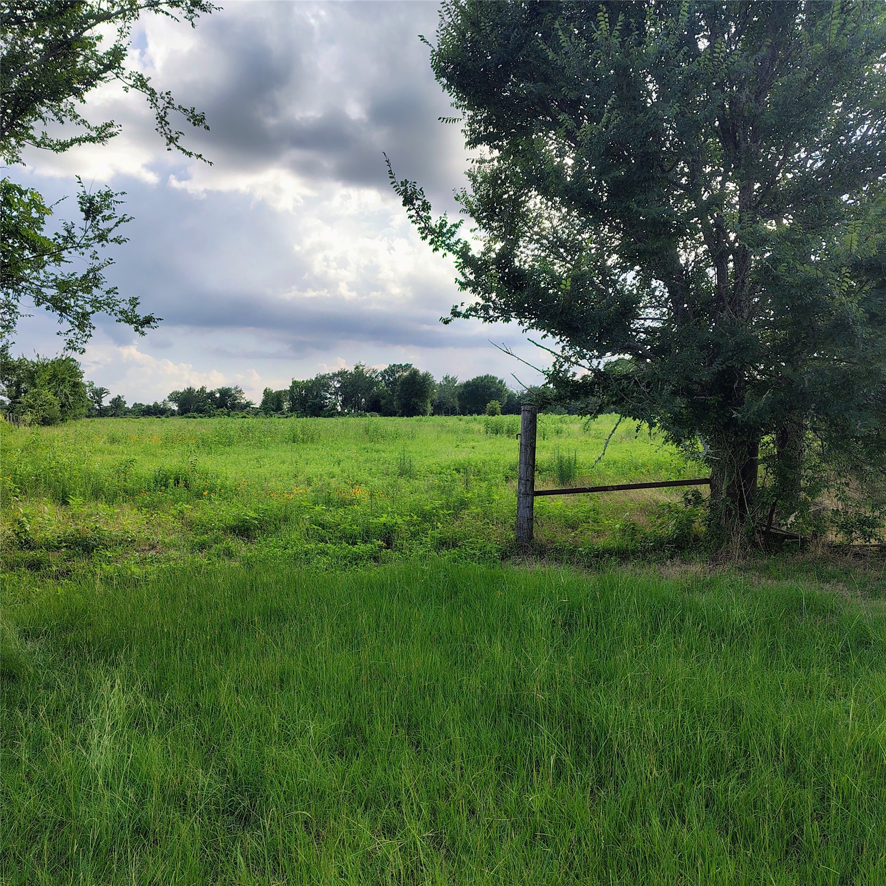 Tbd Lacy Ln Property Photo 3