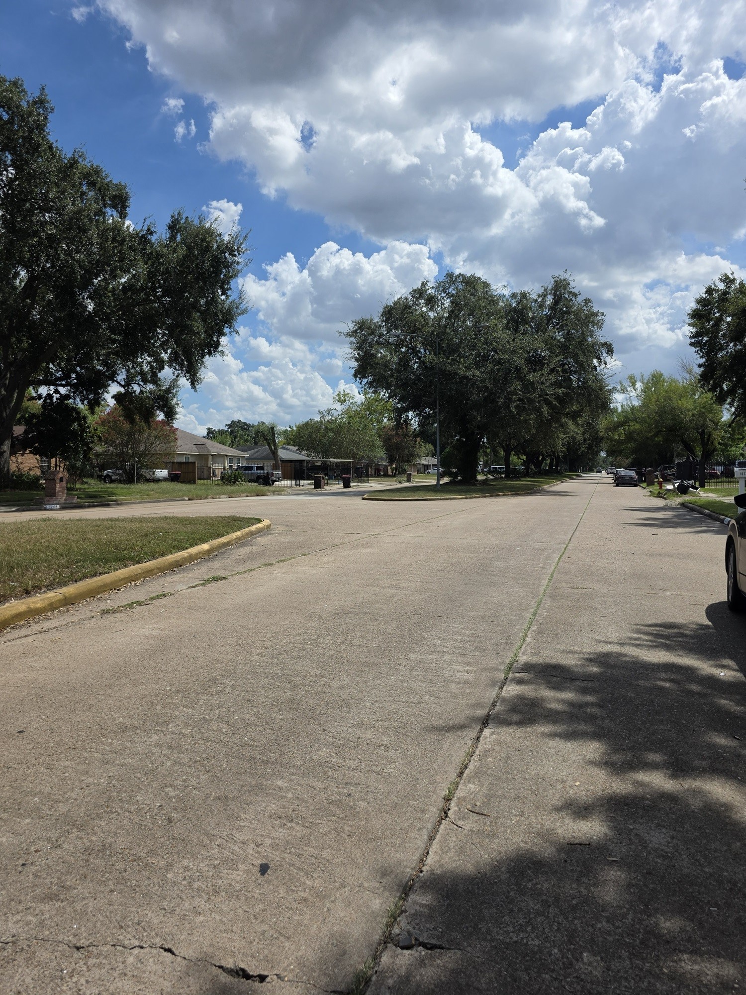 10239 Ella Falls Boulevard Property Photo 27