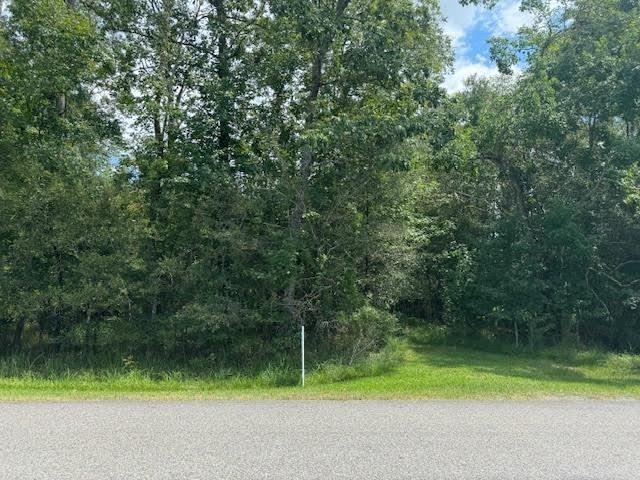 000 Pinewood Property Photo 1