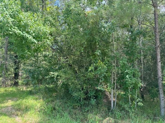 000 Pinewood Property Photo 2