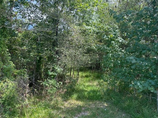 000 Pinewood Property Photo 3