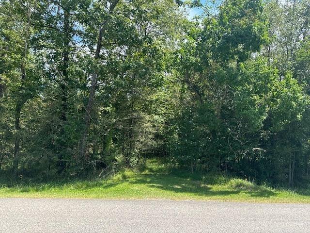 000 Pinewood Property Photo 4