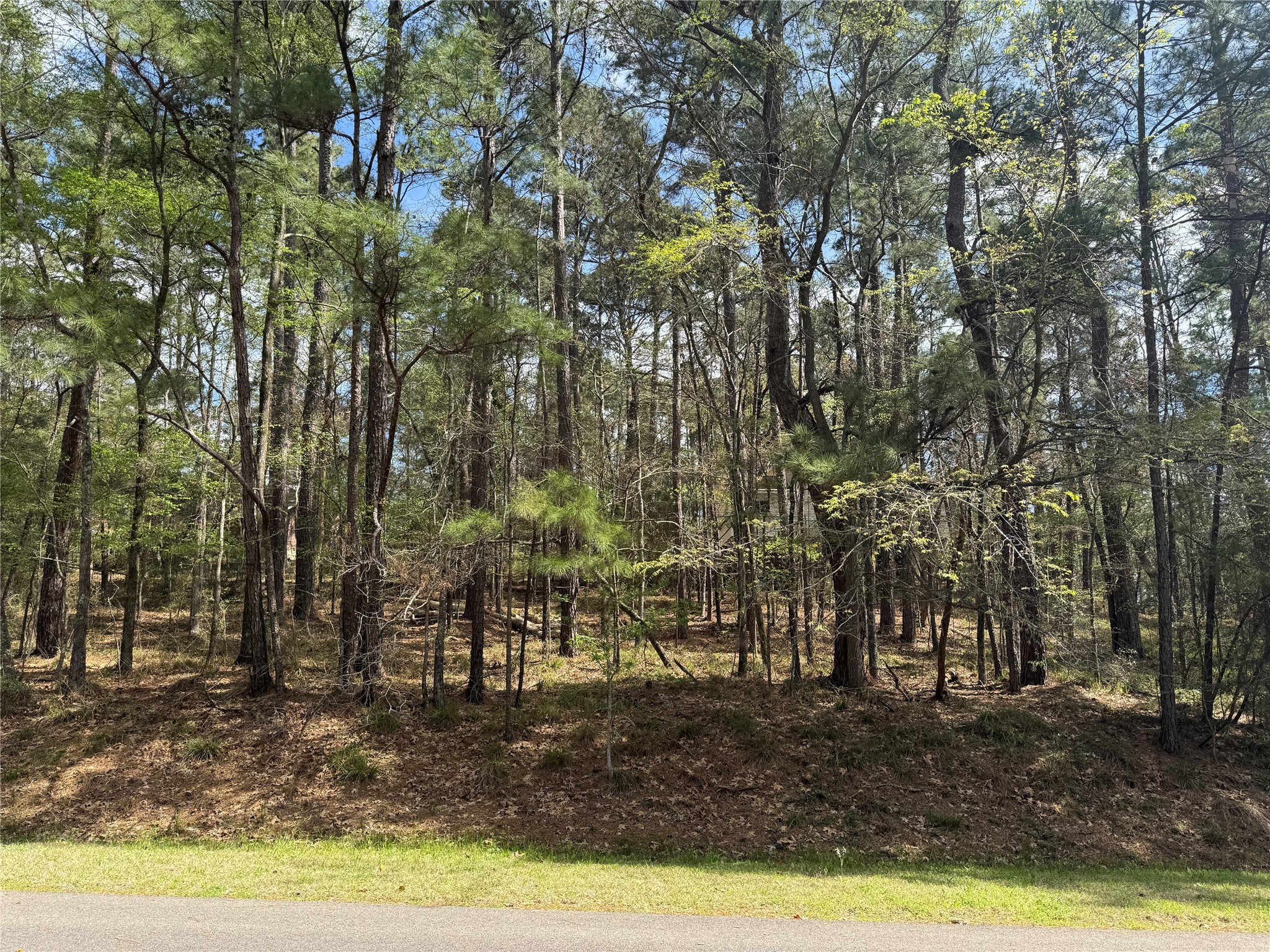 107 Green Tree Drive Property Photo