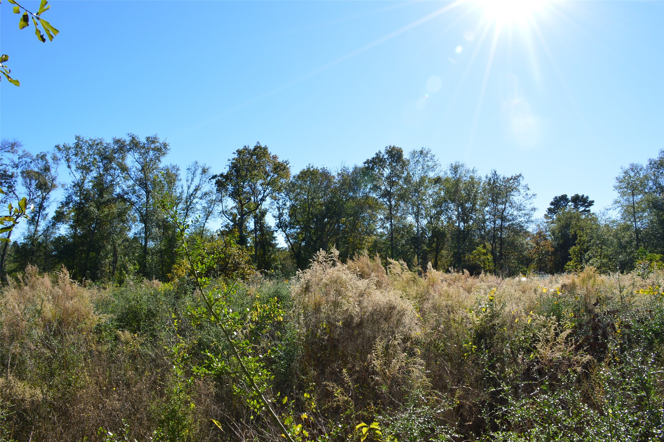 0010 County Road 302 Property Photo 9