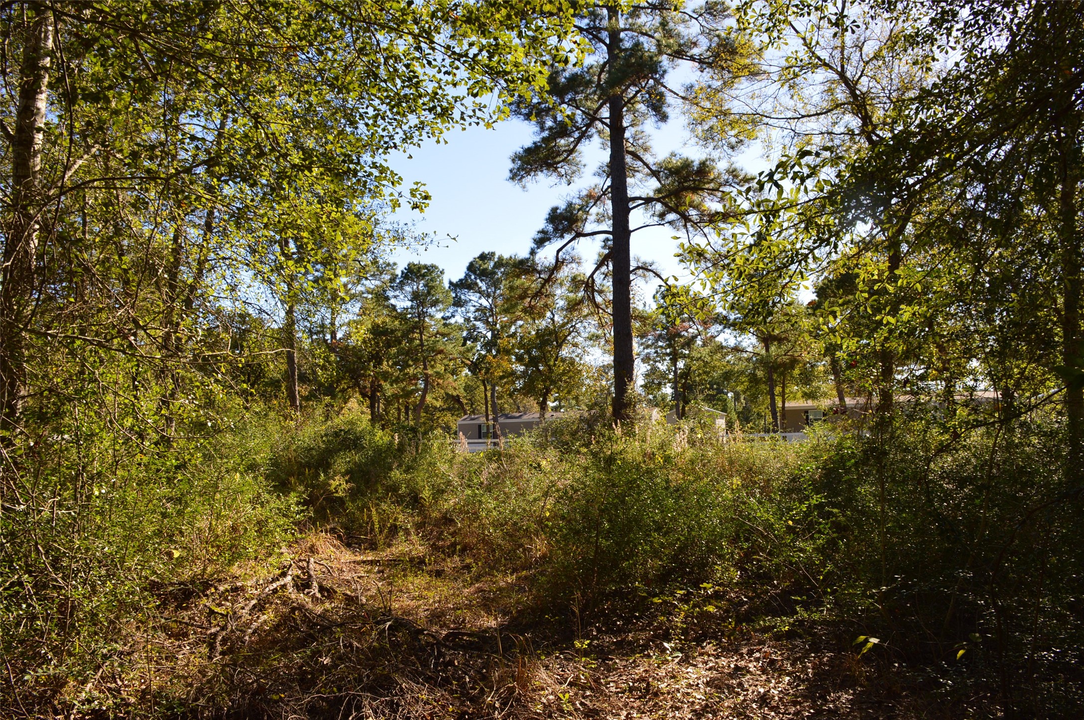 0010 County Road 302 Property Photo 19