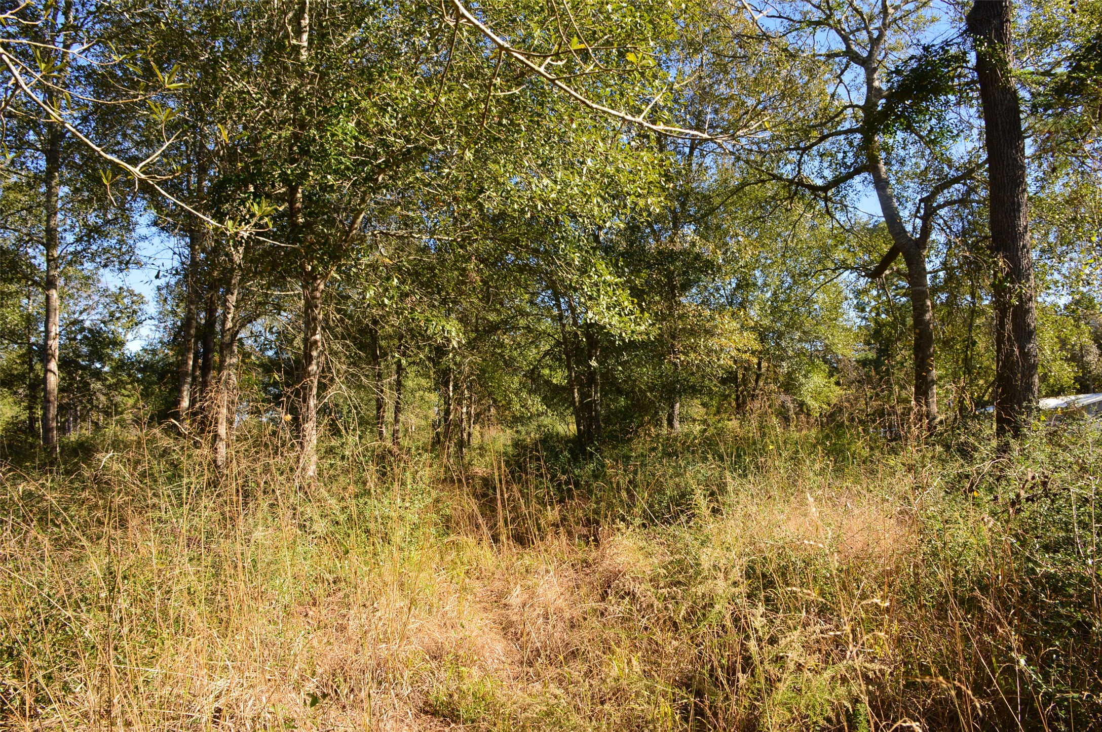 0010 County Road 302 Property Photo 21