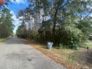 27306 Tepee Trail Property Photo 38